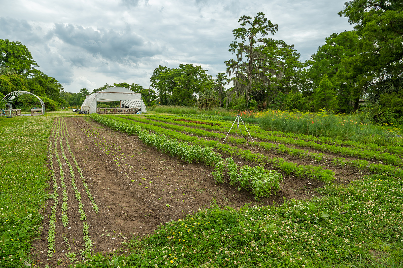 Image of the farm.